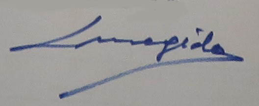 Firma Luz Megido
